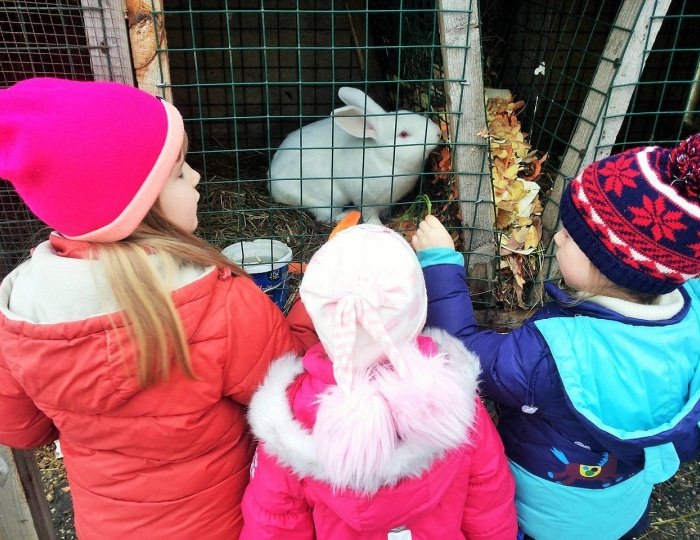 Мини-зоопарк - Загородный клуб «Медвежьи Озера»