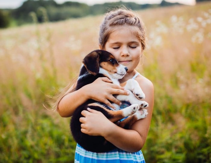 Проживание с животными - Загородный клуб «Медвежьи Озера»